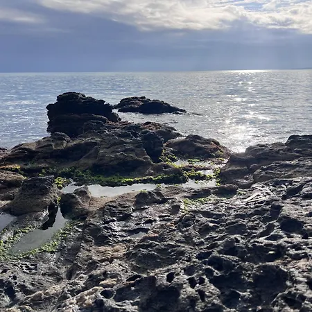Macadamia Benalmádena