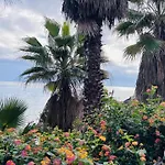 Macadamia * Benalmádena