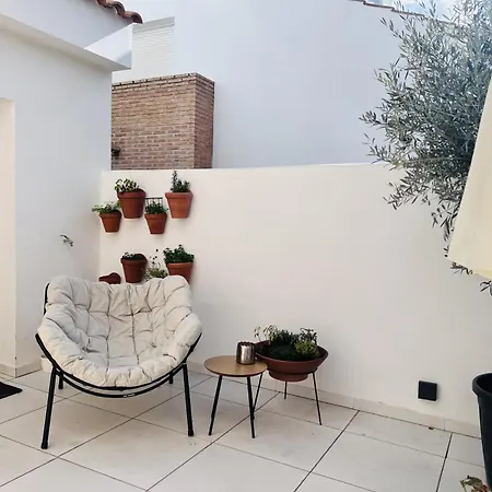 Macadamia Vila